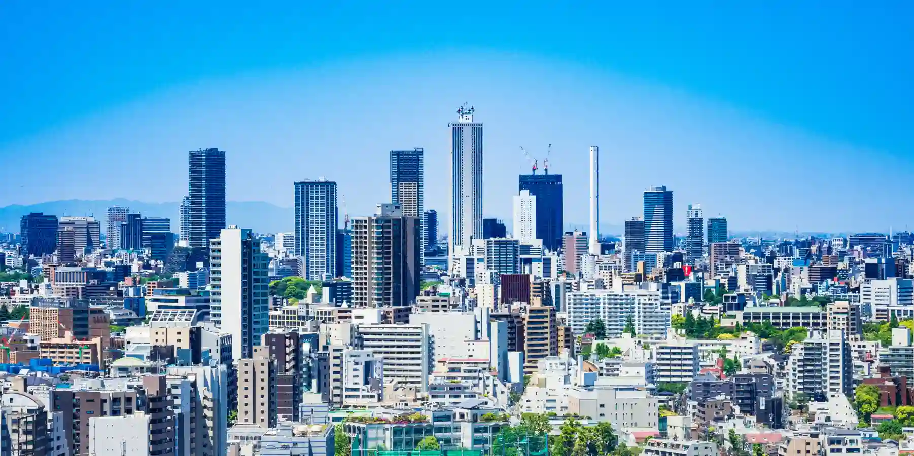 AP工法は、耐震補強材として必要な性能と吹付け施工用材料としての作業性を追及した、完全プレミックスのモルタルを用いた湿式吹付けによる耐震補強工法です